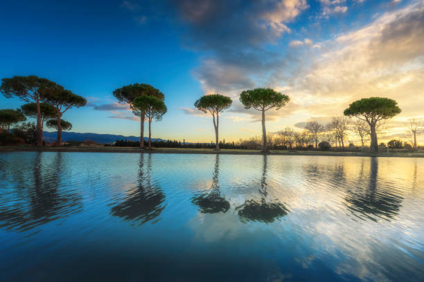 Tramonto su un laghetto tra i pini nella campagna maremmana